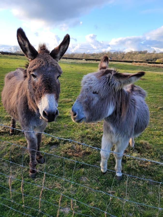 Hideaway Escapes, Farmhouse B&B & Holiday Home, Ideal Family Stay Or Romantic Break, Friendly Animals On Our Smallholding In Beautiful Pembrokeshire Setting Close To Нарберт Экстерьер фото